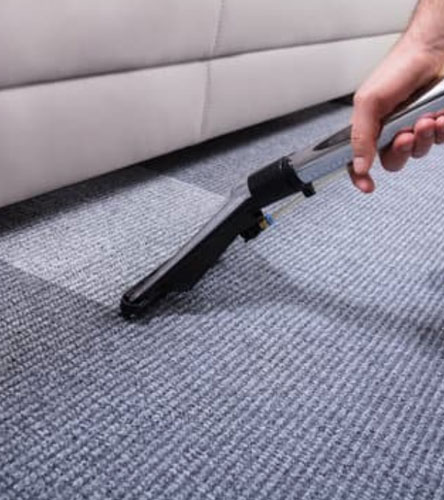 carpet steam cleaning